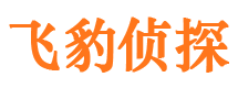 武昌市侦探调查公司